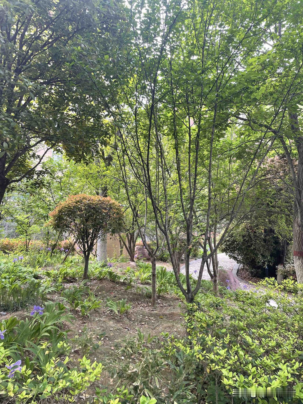 春天别总待在家里！小区楼下的风景，藏着最治愈的生活真相

春天一到，别总窝在空调