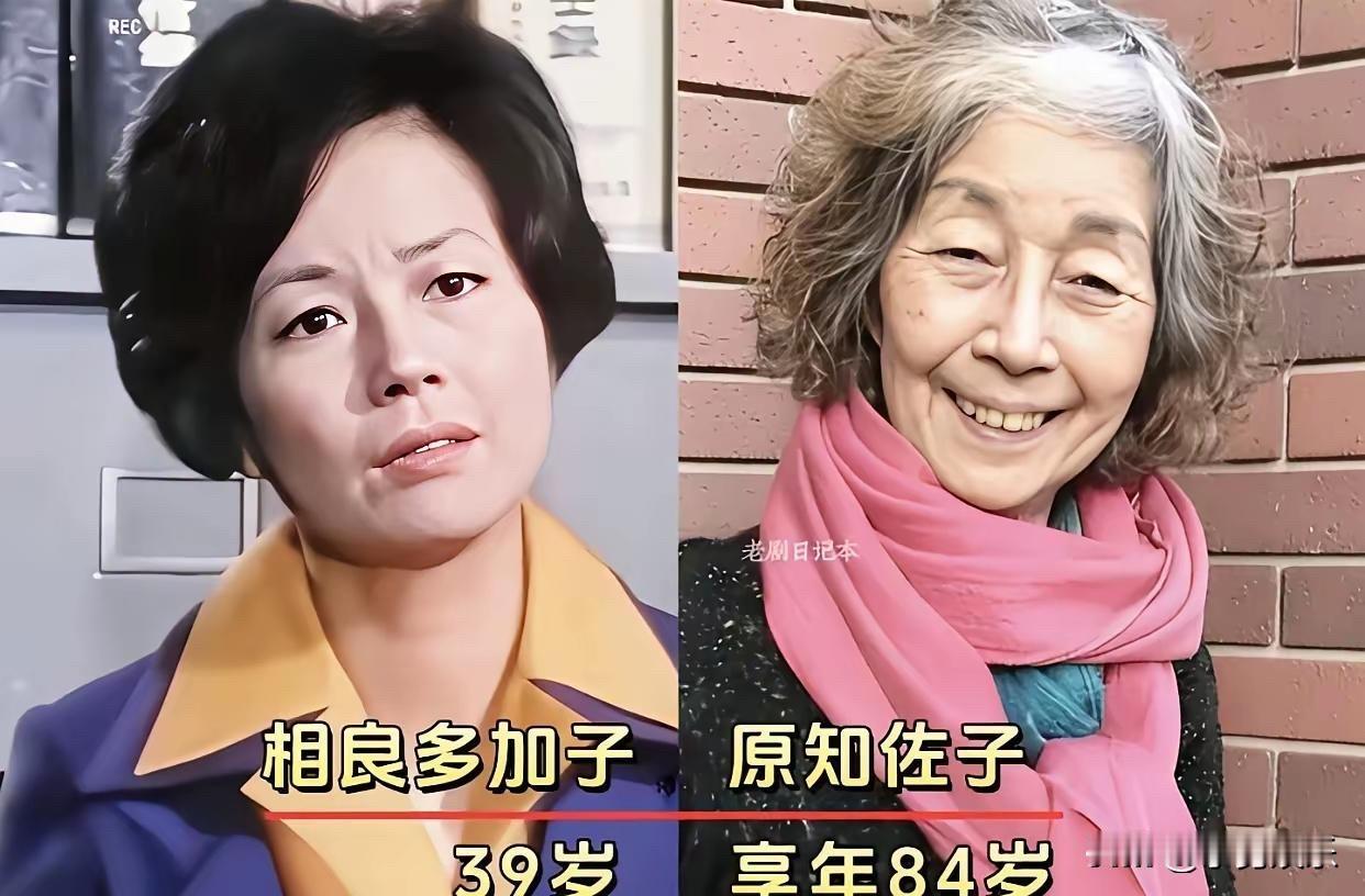 44年后，光夫和幸子都老了： 《血疑》演员今昔，戏里凄美戏外圆满

先说说大岛茂