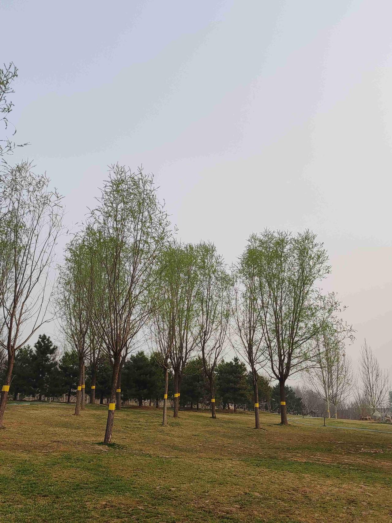 我的今日状态：😁轻松愉快
我这里的天气：🌤️多云