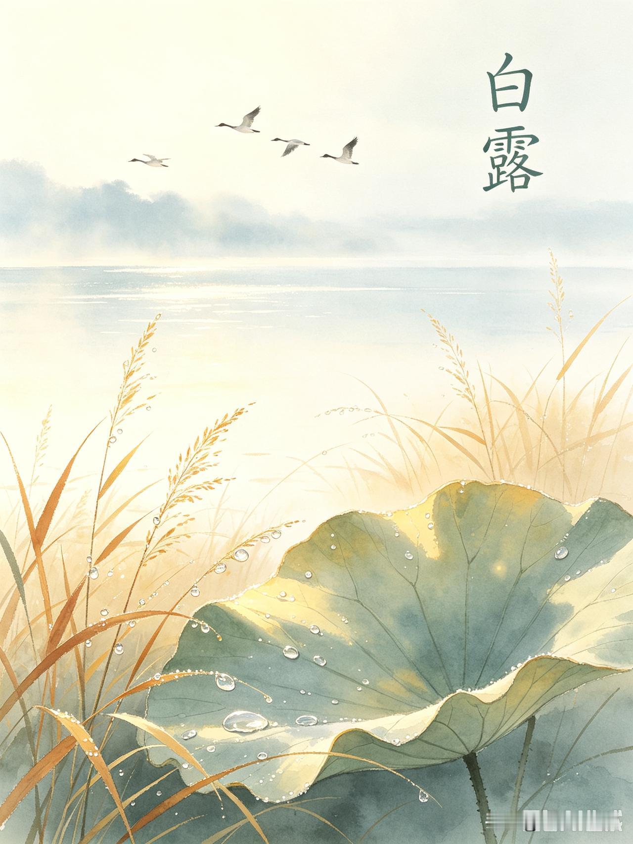 白露凝秋，清风渐凉
 
今日迎来白露节气，它是二十四节气的第十五个节气，也是秋季