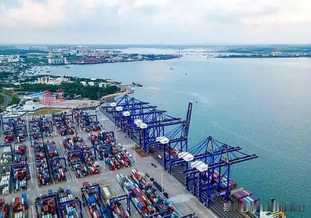 日本自断后路！中韩加速绑定，东北亚合作不带其玩

G20峰会开幕前夕，中方接连放