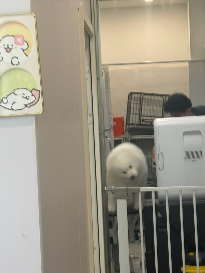 怎么两个小时过去毫无变化嘟…… 