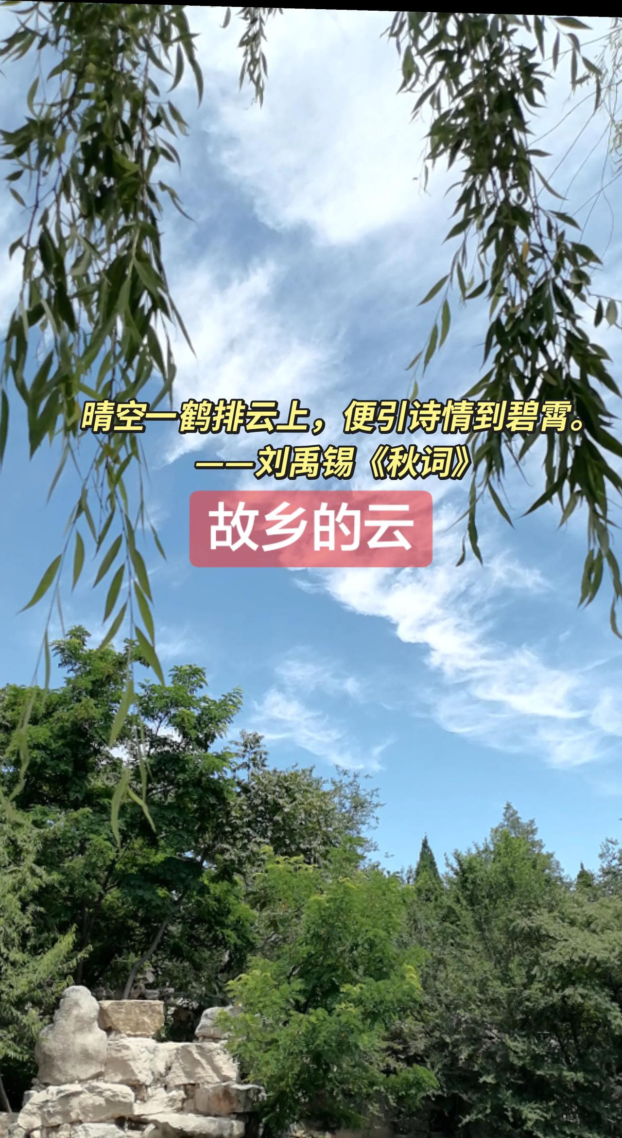 蓝天白云，晴空万里静享自然时光 蓝天白云柳树