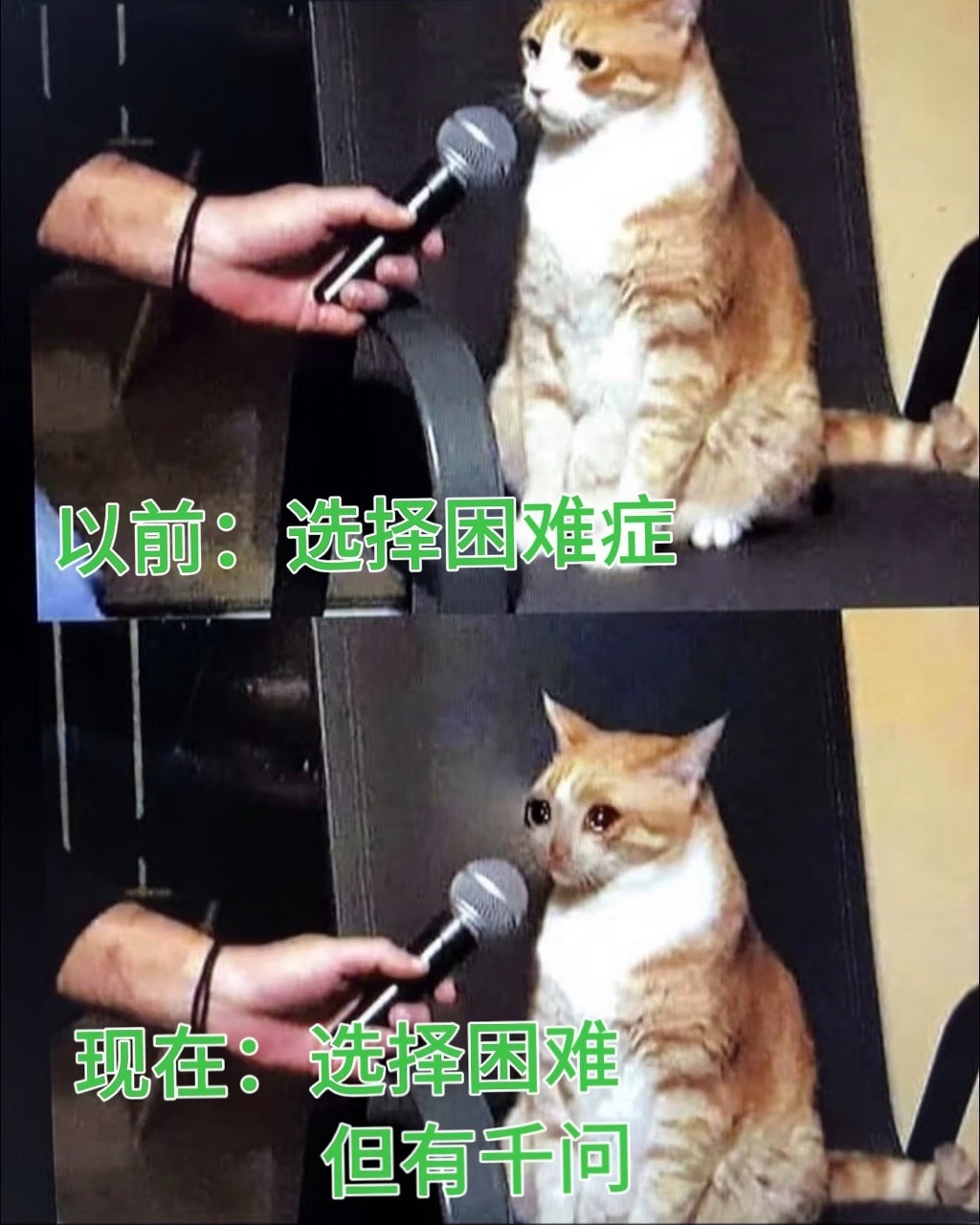 林一名场面火到唐艺昕都刷到了 万万没想到！林一的破音名场面居然被唐艺昕刷到还互动