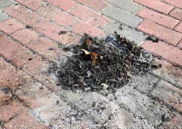 祭祖烧纸争议不断，守住思念与守住安全从来都不是对立面
 
每到清明时节，给逝去长