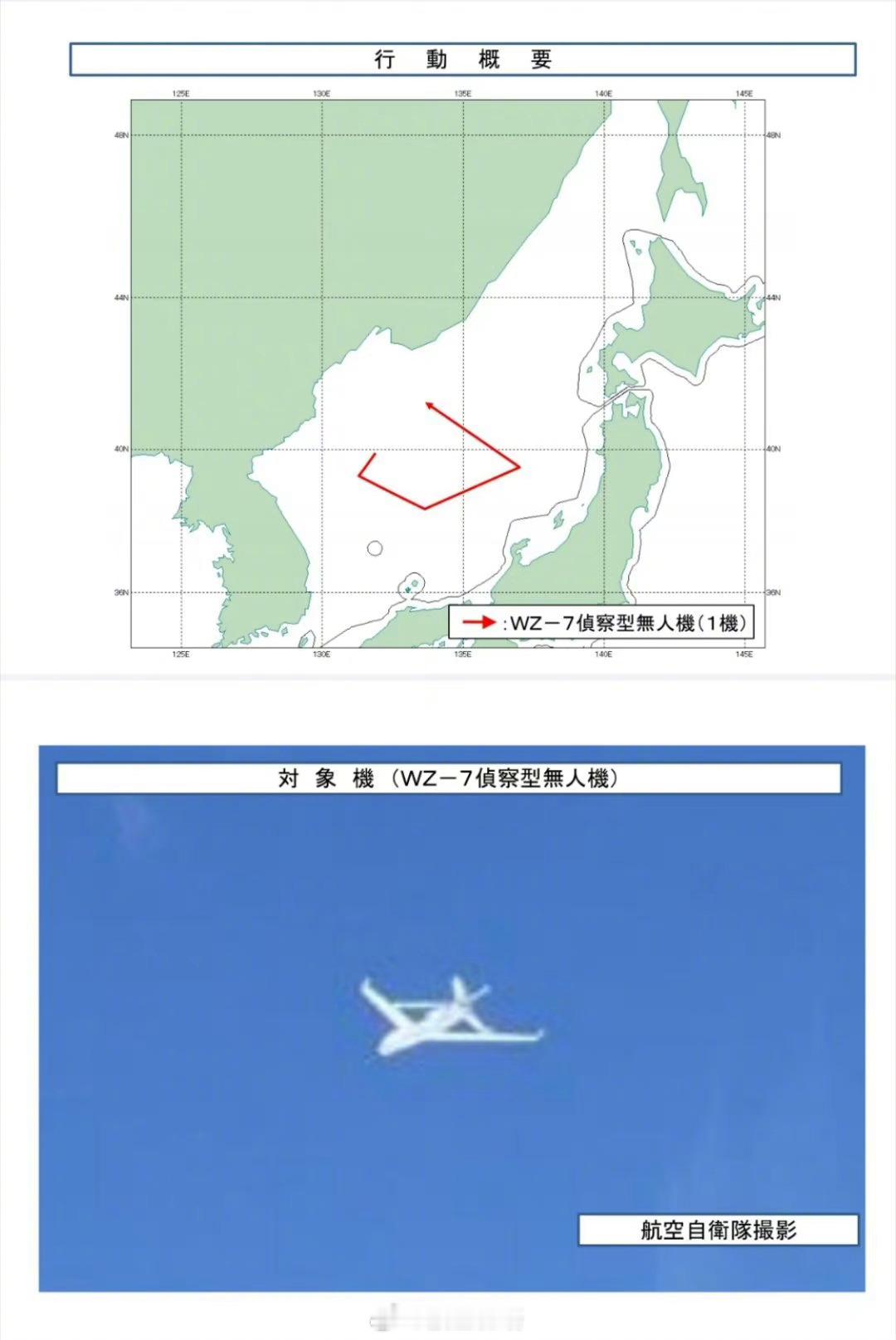 【御用摄影师：太高了，实在太高了，一点也拍不到】御用摄影师又拍到了出去“遛弯”的