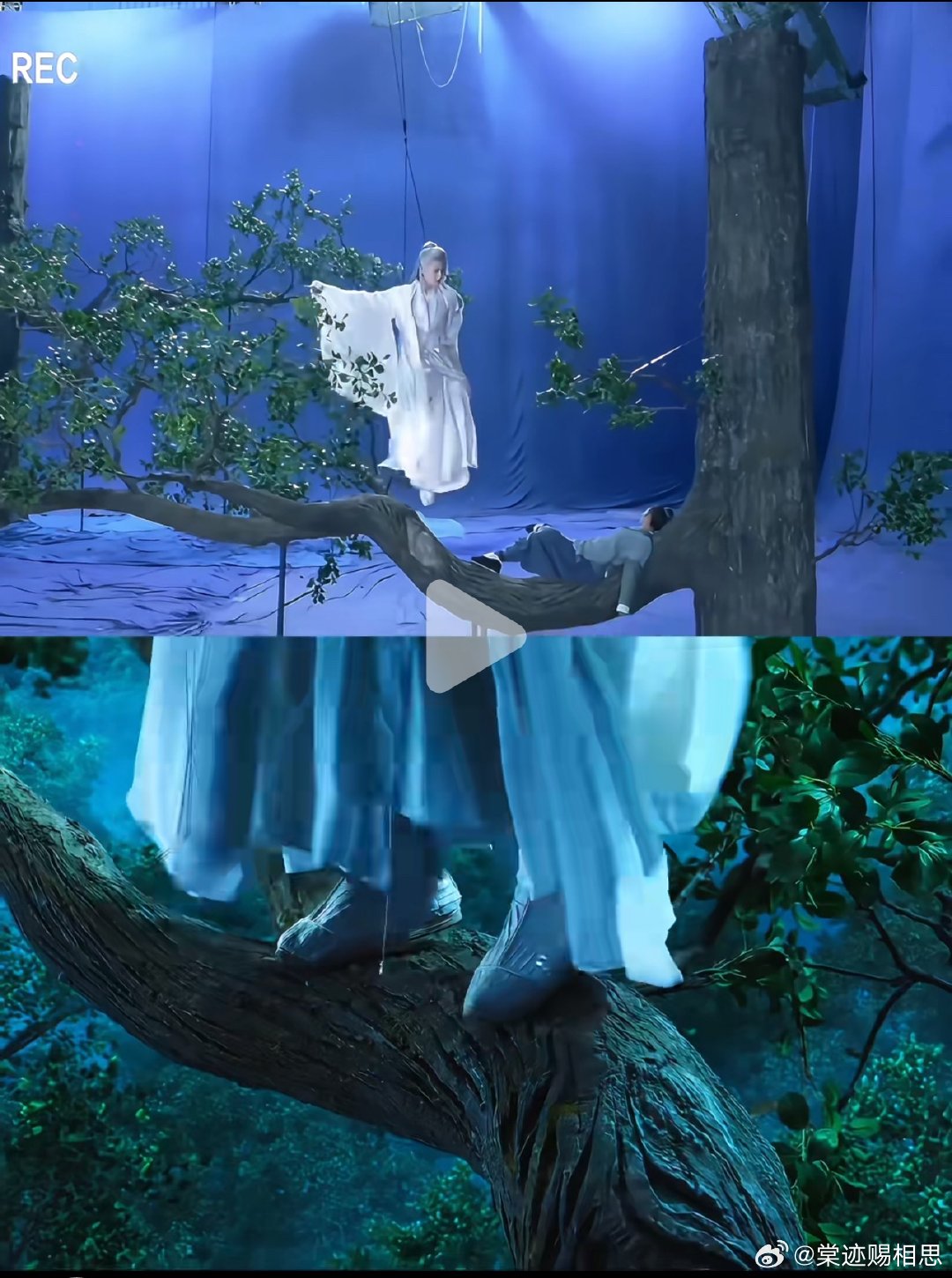 我去，相柳原来衣摆还有小珍珠，没刷到这条评论我这辈子都发现不了