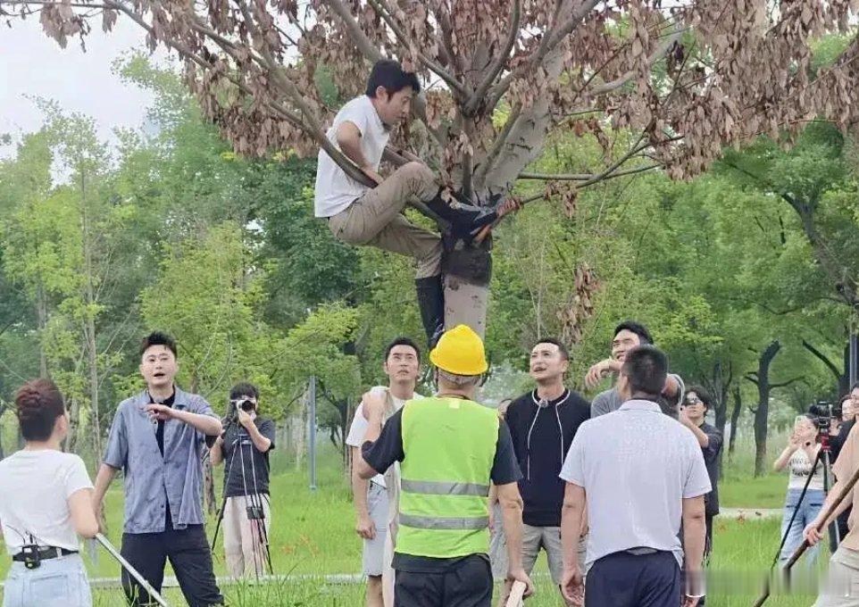 撒贝宁50岁的人三秒钟上树 撒贝宁竟然爬树了，真是够拼的了呀，把下边的沙溢，尼格