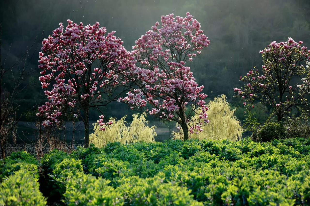 两汉三国,真美汉中,喜欢吗?我的答案是喜欢