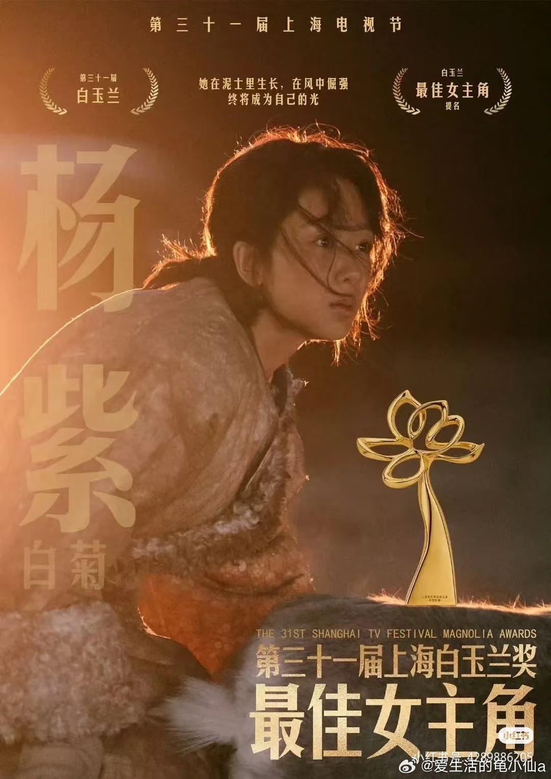 杨紫经纪人抱着杨紫哭这丫头真的在进步杨紫白玉兰最佳女主角