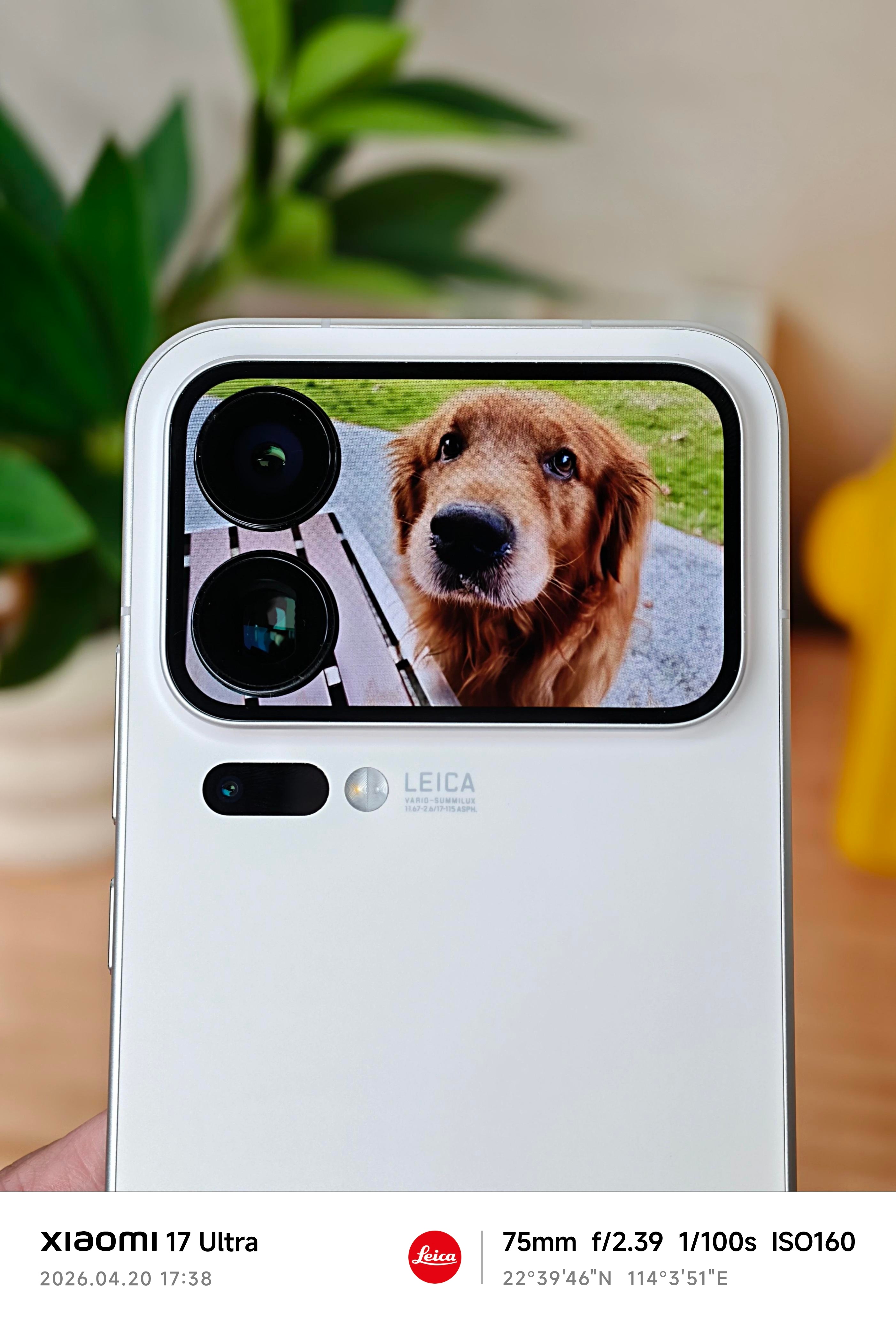 我最想停止的倒计时 发完上条微博就想老大了，今年也十岁了，一切都好，身体健康且调