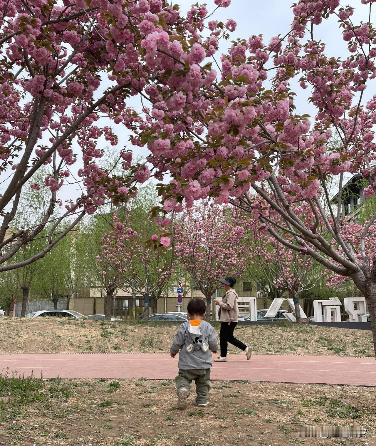 怪不得现在的儿媳妇都不让婆婆看孩子了！

今天得知朋友的儿子出院了，我买点东西来