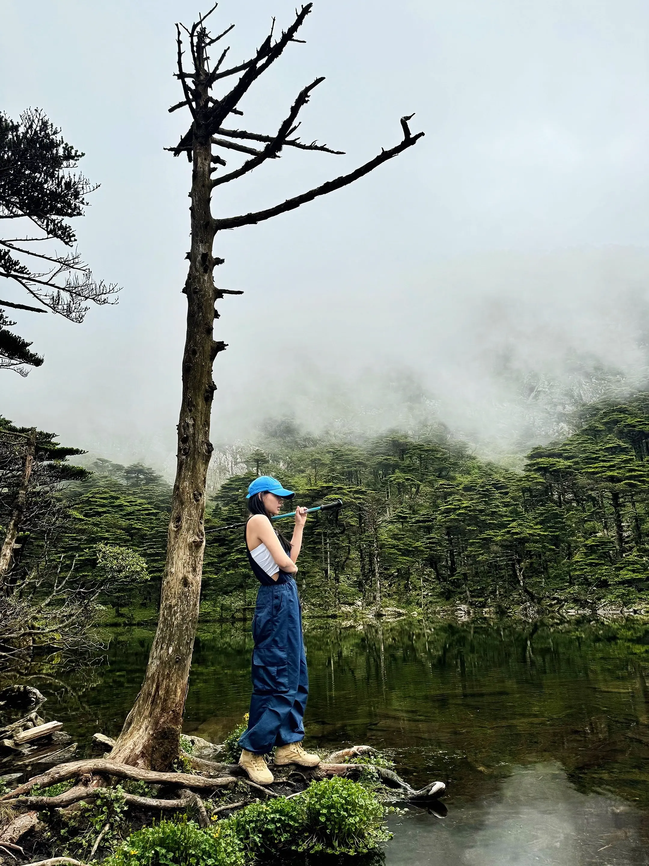 敬畏自然，感谢每一座山的接纳苍山秘境 大理旅行vlog
