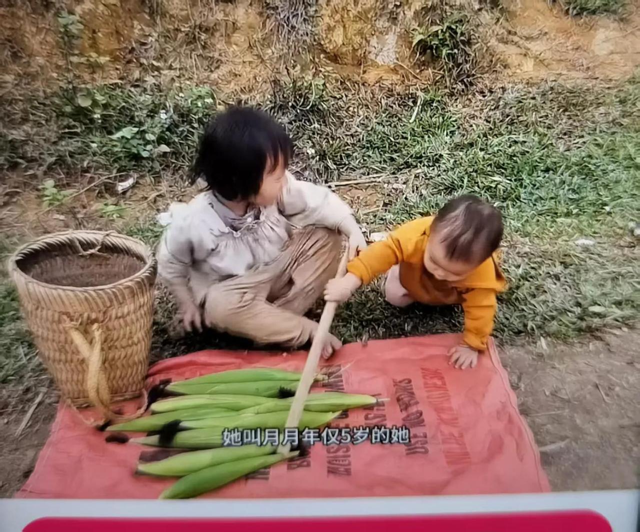 优质故事创作激励越南女孩月月和她弟弟的故事真是感动了我，月月不到七岁爸爸出了事故