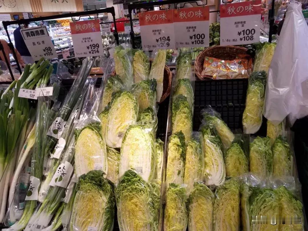 日本蔬菜都快吃不起了？
   日本不光大米涨价控制不了，现在连蔬菜都快吃不起了，