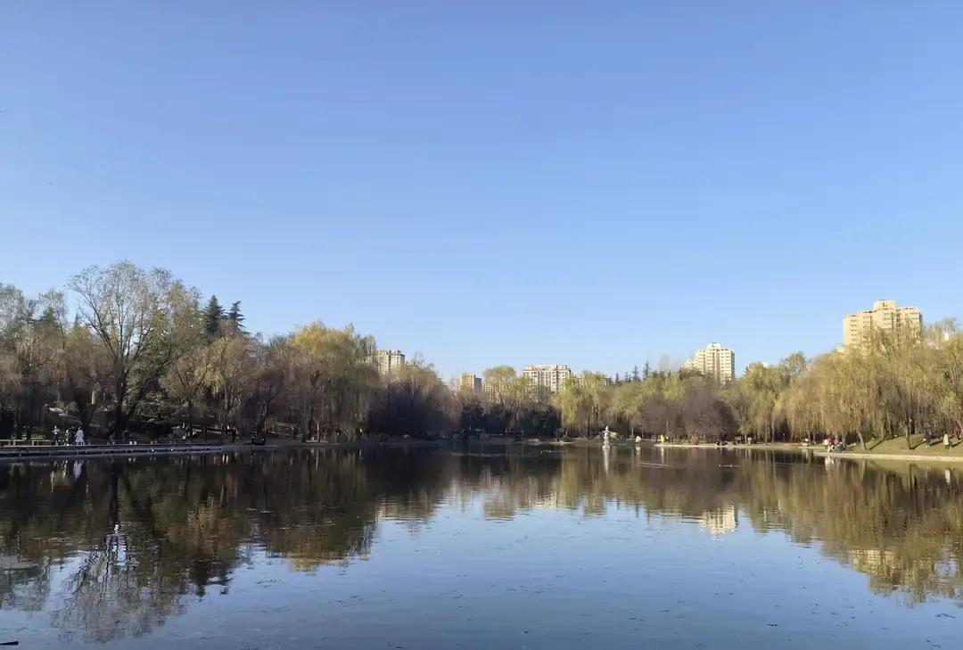 这靴子今年真是杀疯了。满大街都是深棕色大头靴，配条牛仔裤，好像人人都这么穿。
 