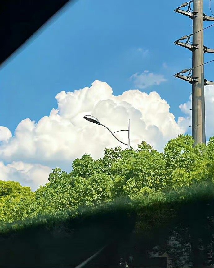 🌻        风景本不惊艳，只是回忆加了分，        人性本不难分辨