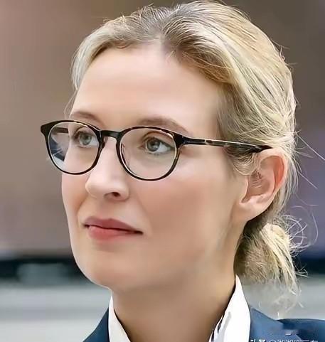 当冯德莱恩还在坚持强硬援乌立场时：魏德尔的话如一声惊雷震响欧洲政坛！
 
202