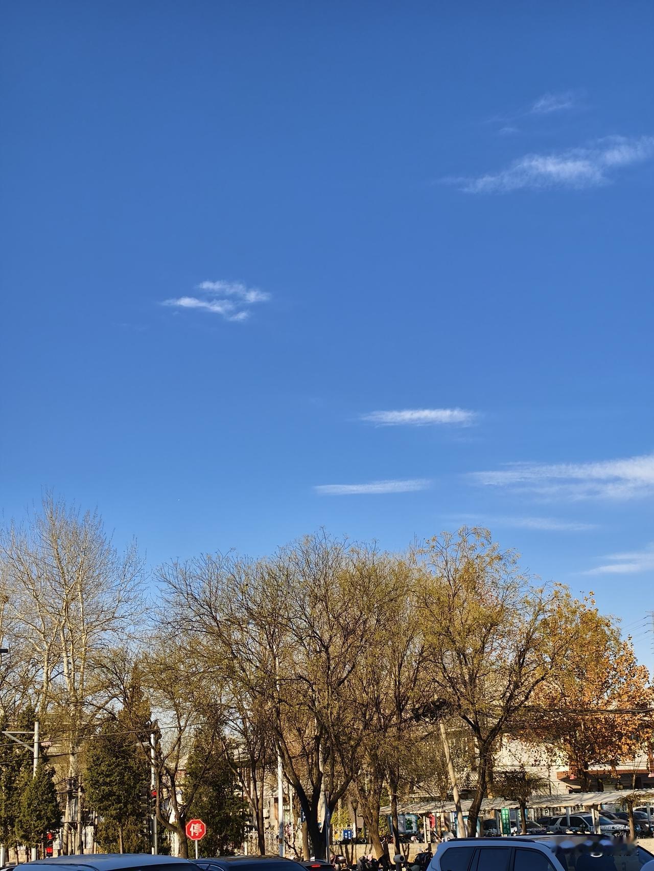 随手拍一张蓝天白云分享一张蓝云白云照片，想一想猜一猜是一对什么情侣动物？