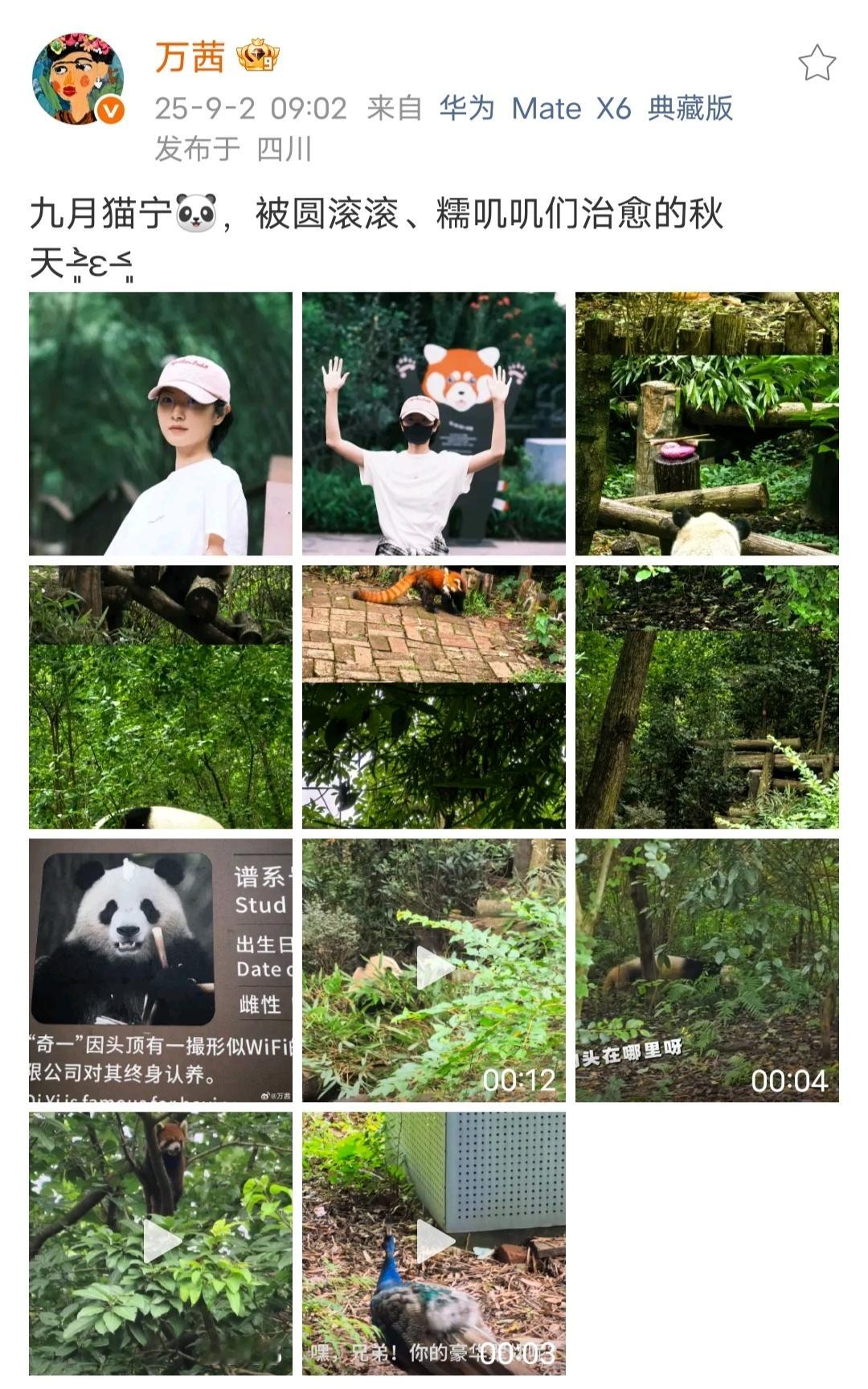 筒子村[超话] wq万茜群星wq万茜八千里路云和月 2025年9️⃣月份发博记录