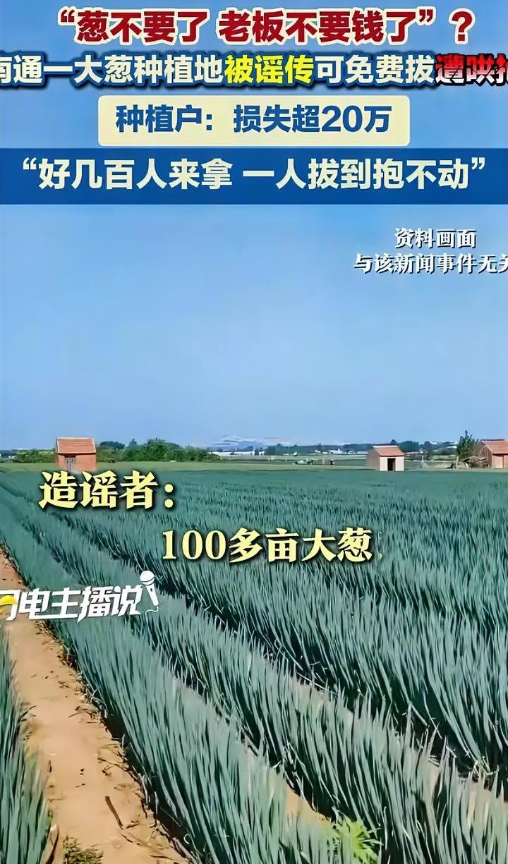 造谣者真缺德啊，导致90亩大葱遭哄抢，农民损失20多万。

近日南通有一人发视频