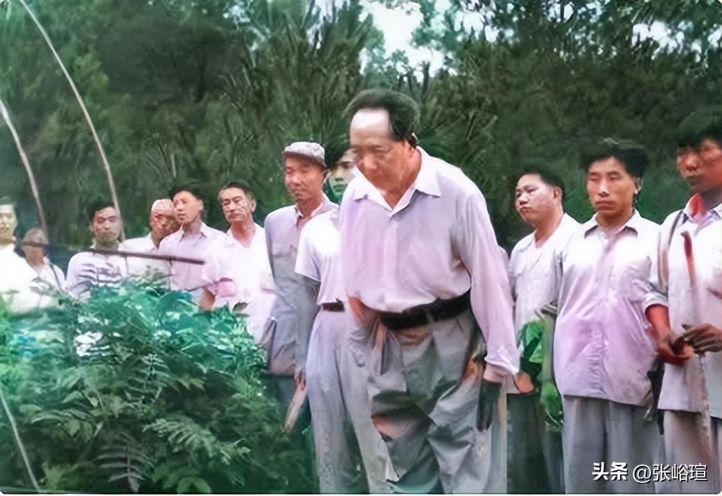 别梦依稀咒逝川，故园三十二年前。