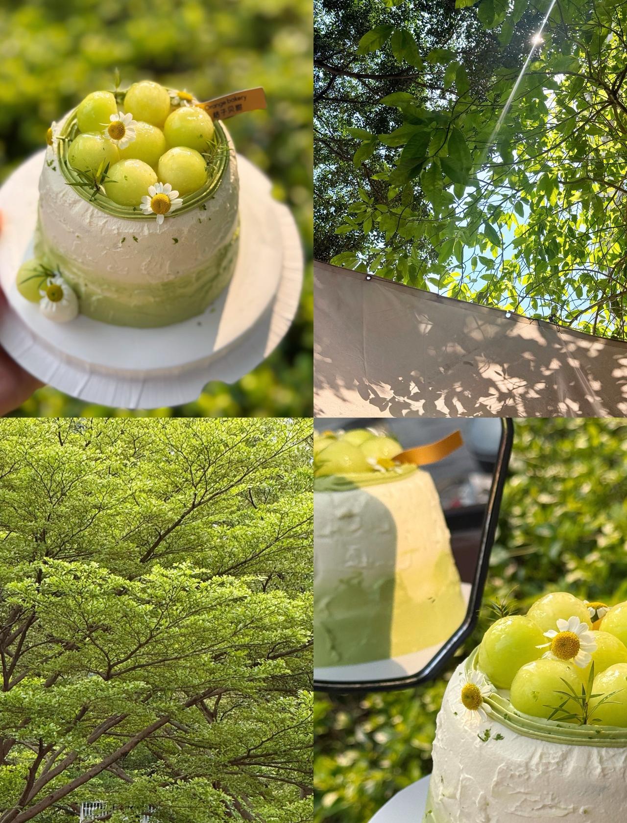 出发🍏•ᴥ•🍏去春天过春天🍃春日蛋糕
📍广州 桔子贝甜(长隆万博店)
