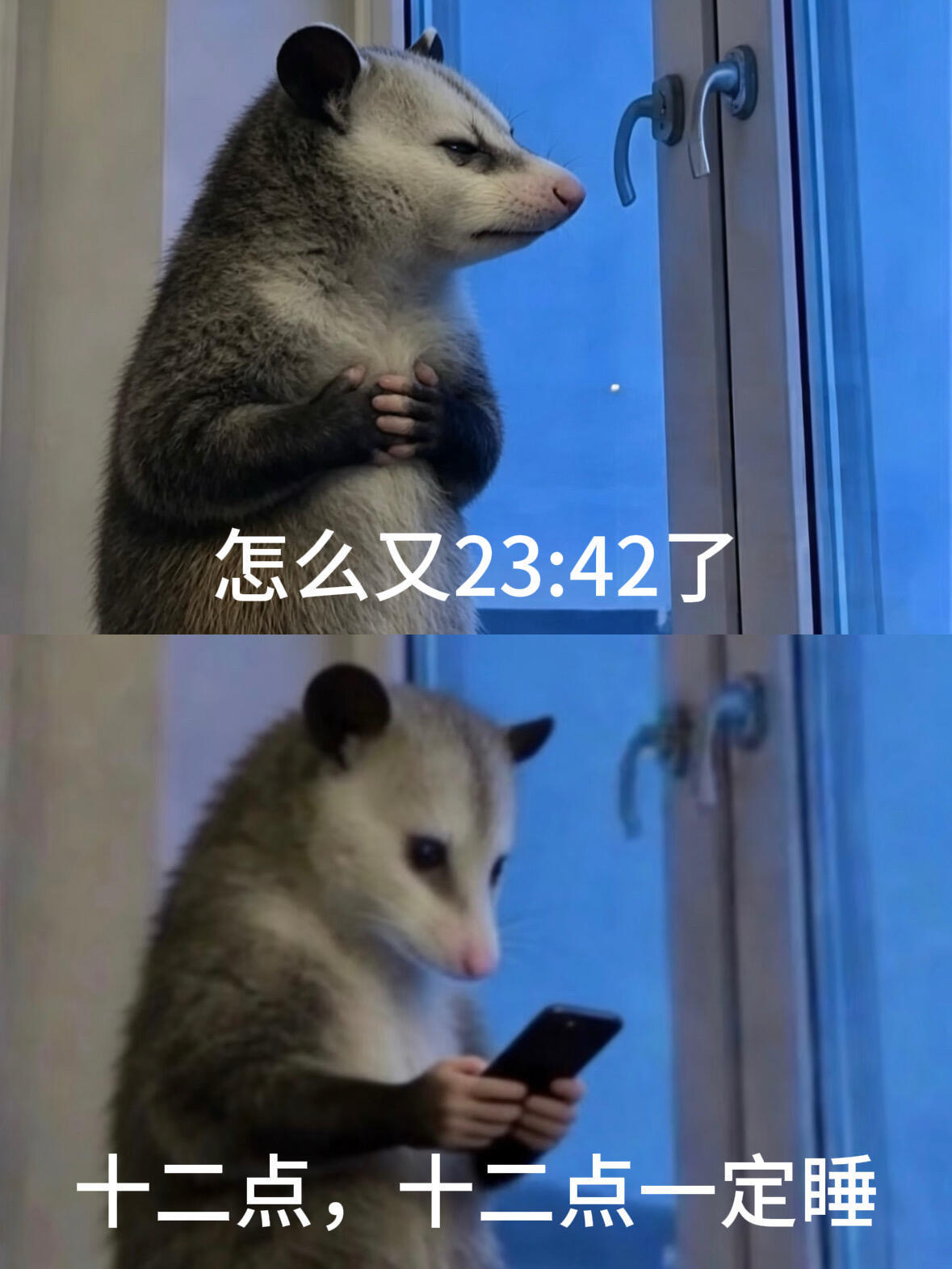 取整睡眠法害了我 