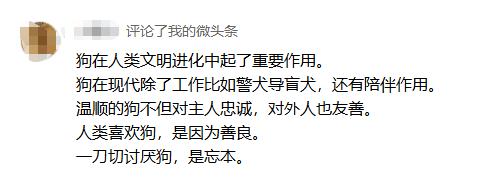 “讨厌狗就是忘本”？这帽子扣得也太大了吧？
刷到一条评论，差点没把我整不会了。