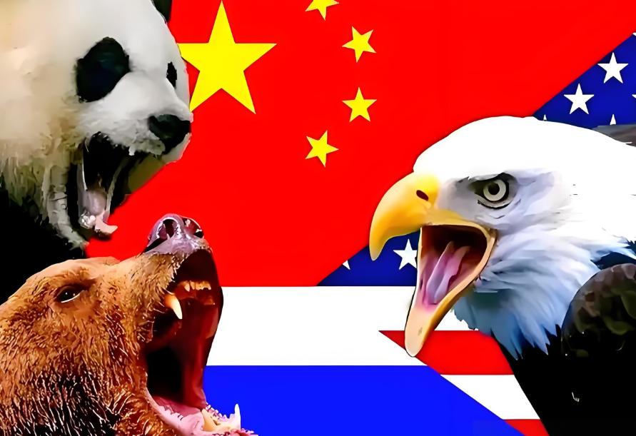 中美关系和中俄关系哪个更重要？

从经济角度看，中国和美国有着广泛的经济贸易，中