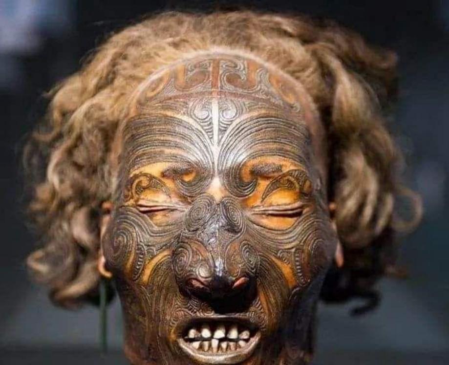 这个人用尽各种手段，强迫那位老族长卖掉一个人头，新西兰毛利人与欧洲商人可怕的头颅