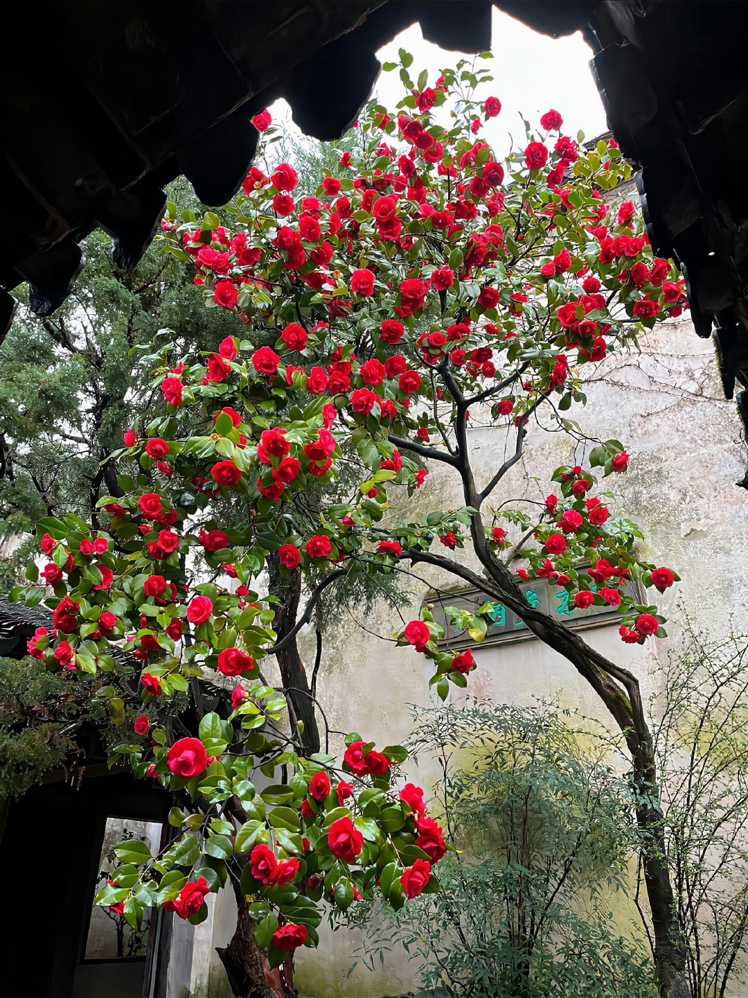 油和气我不敢过夜了，这溢价率没法子做了。一旦停战会卖不出去的。你们自己看着玩吧，