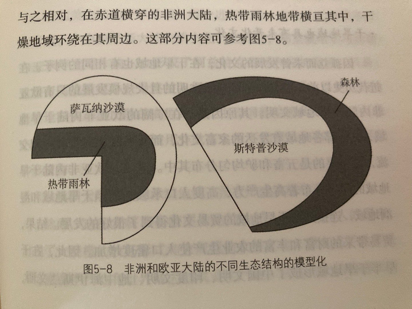 steppe-desert 斯特普沙漠，离谱。此外书里很多地名翻译都与通行译名有