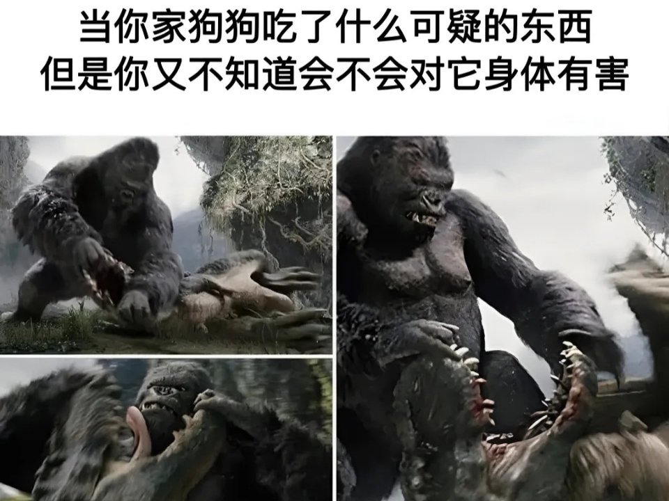 快点给我吐出来啊 meme  / 