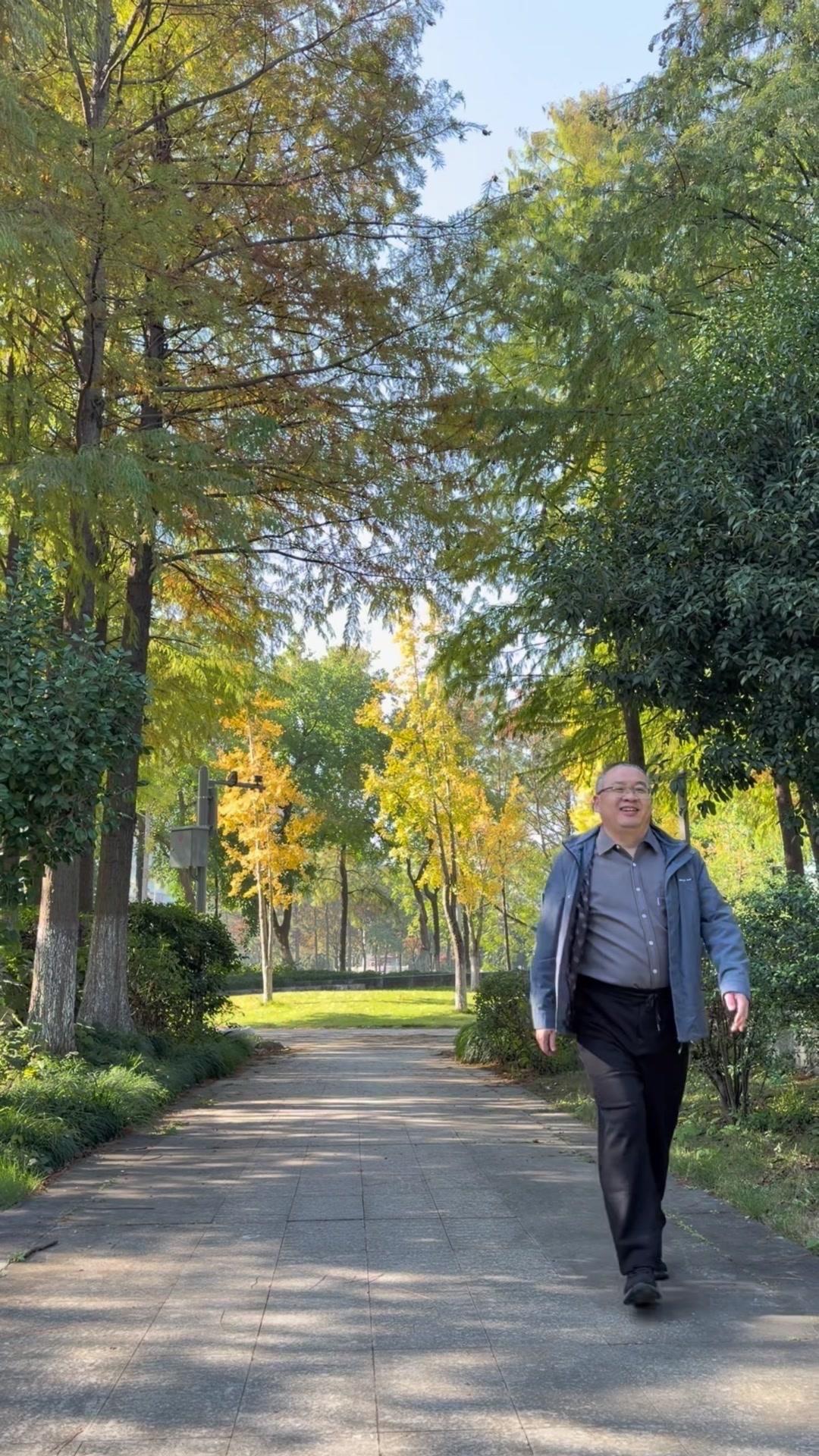 🦋星湖公园的银杏叶黄得正好，阳光透过枝叶洒下来，像撒了一地碎金，踩上去沙沙响，
