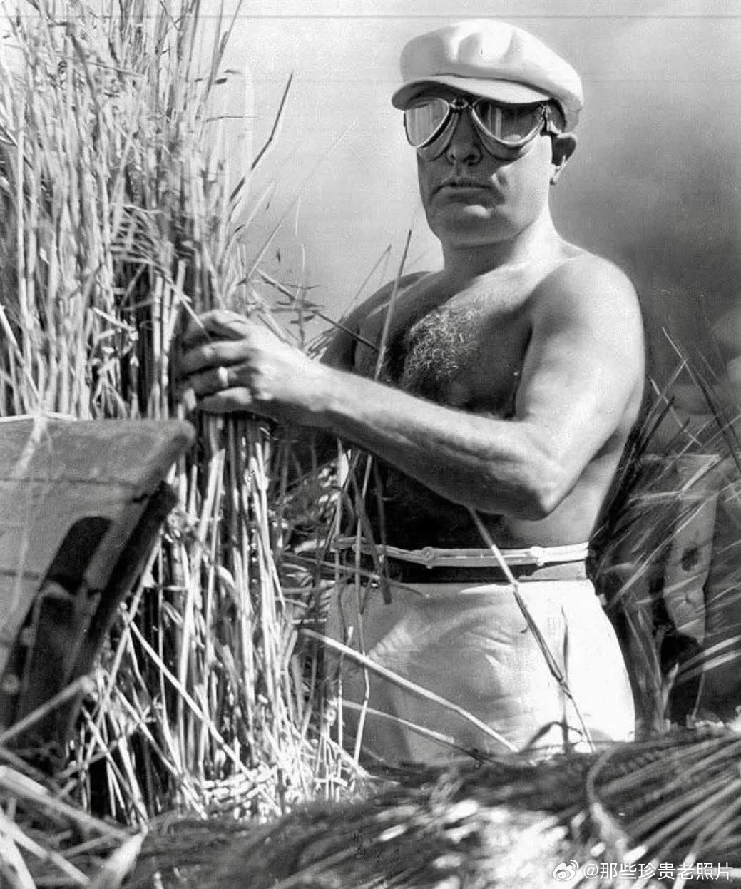 这张照片拍摄于1938年，当时贝尼托·墨索里尼在庞廷沼泽收割谷物时赤裸上身。这幅