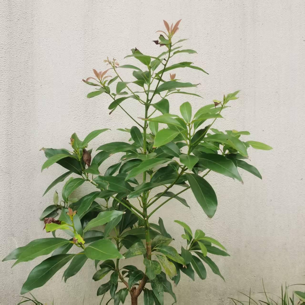 多读书，终是与众不同。

熟人家孩子，华西医科大学博士毕业，本博八年。从去年下半
