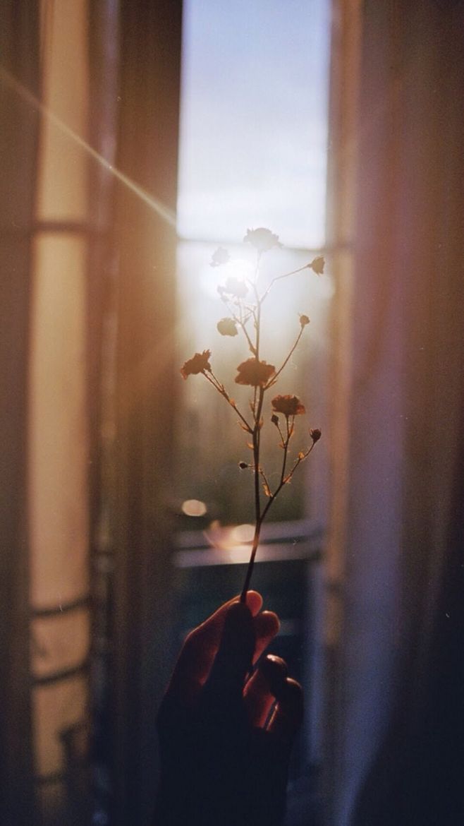 其实若真正有才华运气并不是那么重要 ——东野圭吾 