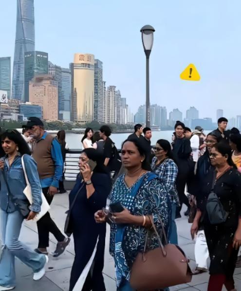 国家的百年大计，绝不能毁在一群蛀虫手里！现在只要一提国际化、与国际接轨，某些顶着