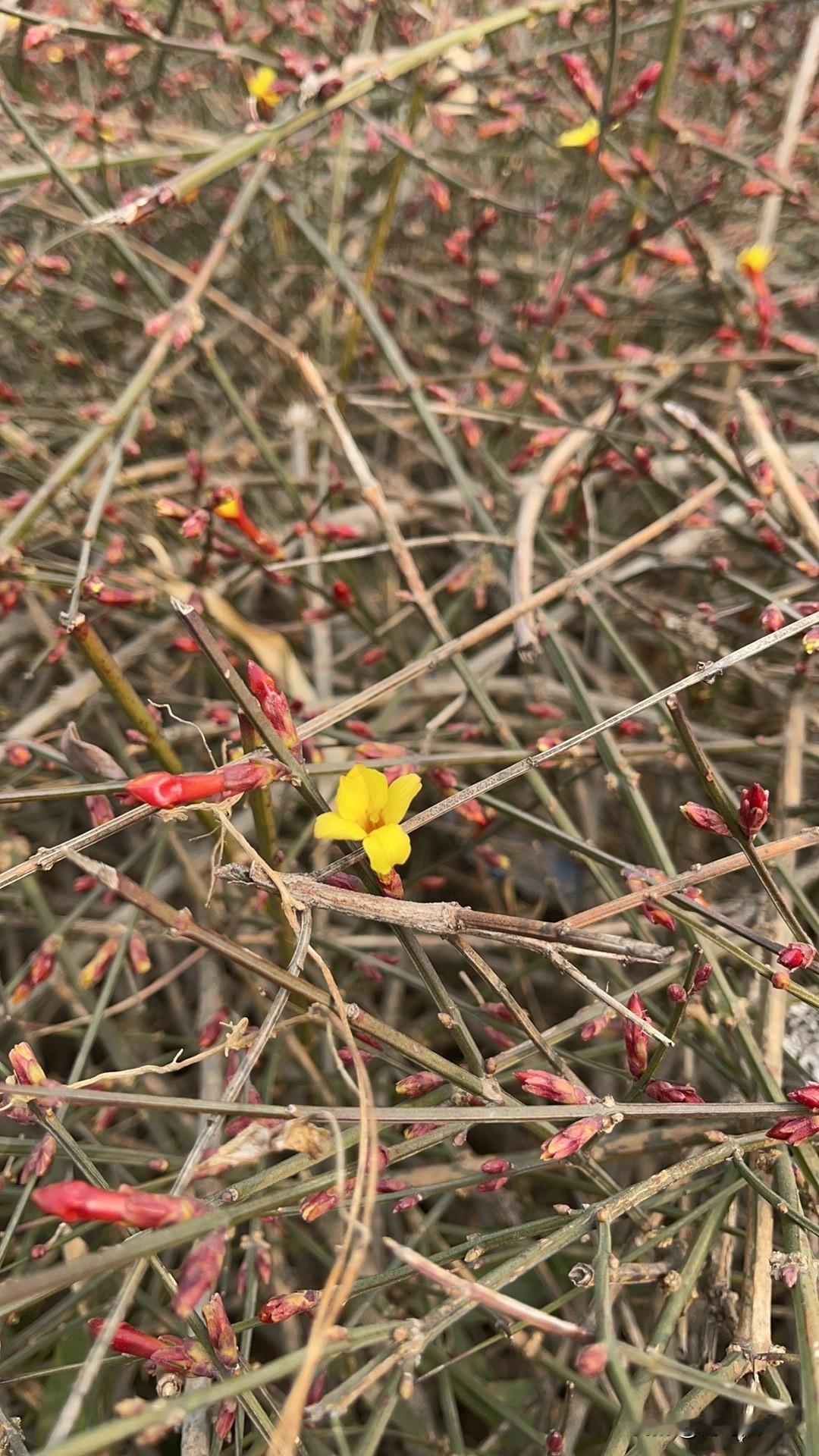 有时候也不知道写什么，身边的事，都很有色彩，怎么写呢……看到许多人在拍视频，举着