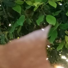 #每日一善[超话]#每一处风景都是生命的驿站，用乐观的心看待万物，心则如山花般烂