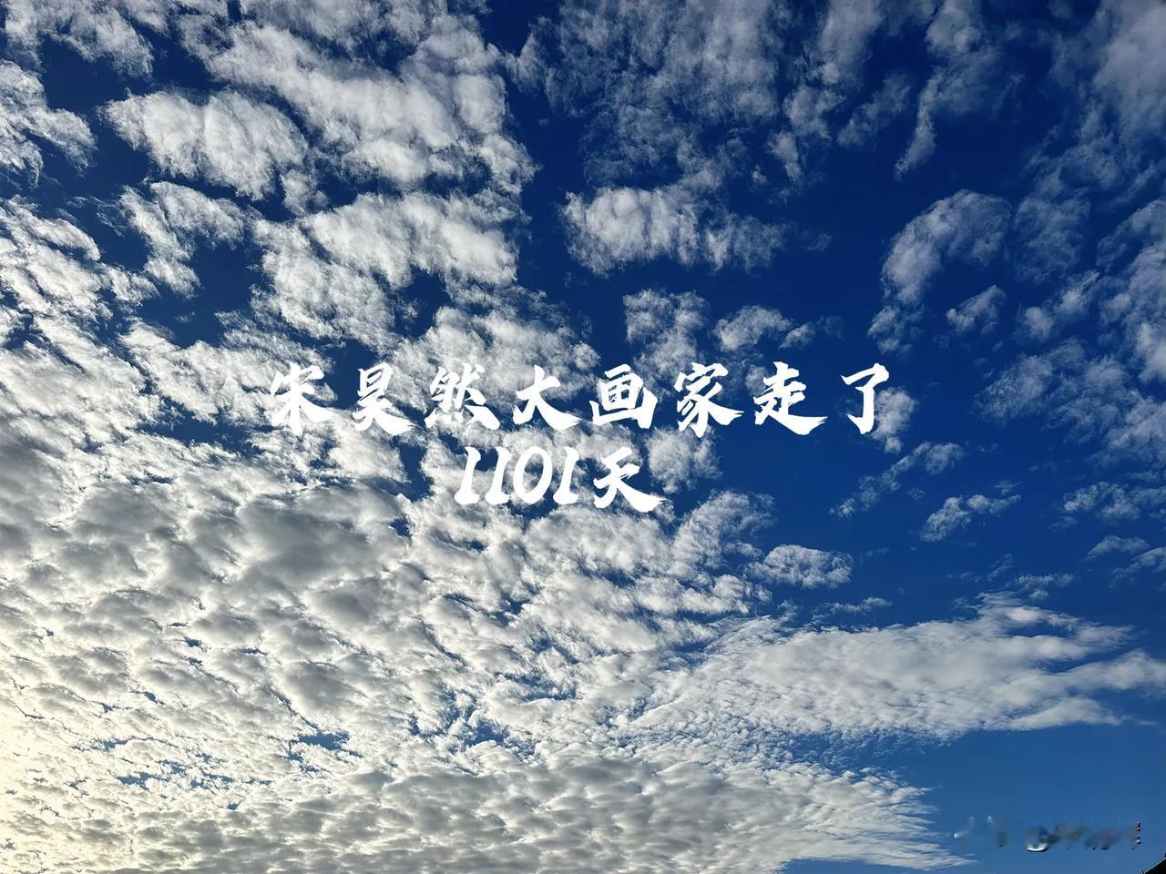 （1101）：孩子，早上好。这几天天气不错，是深圳人的都懂其“含金量”，屋子也不