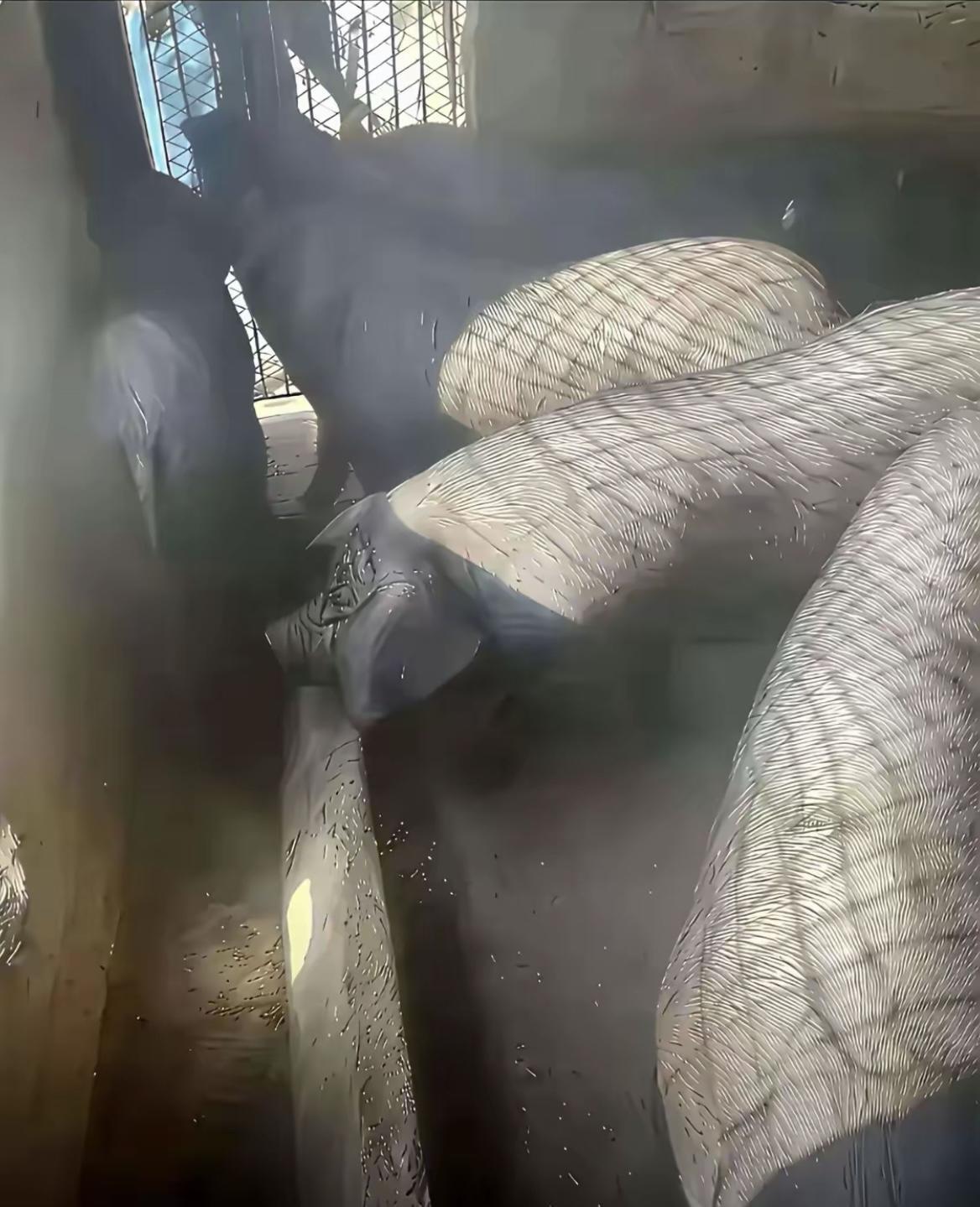 这黑丝性感吗？[我想静静]