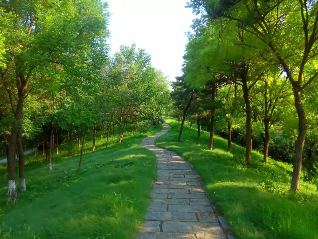 社交的核心不是让别人喜欢你，而是谋求一种合作与平衡。健康的关系需要边界...