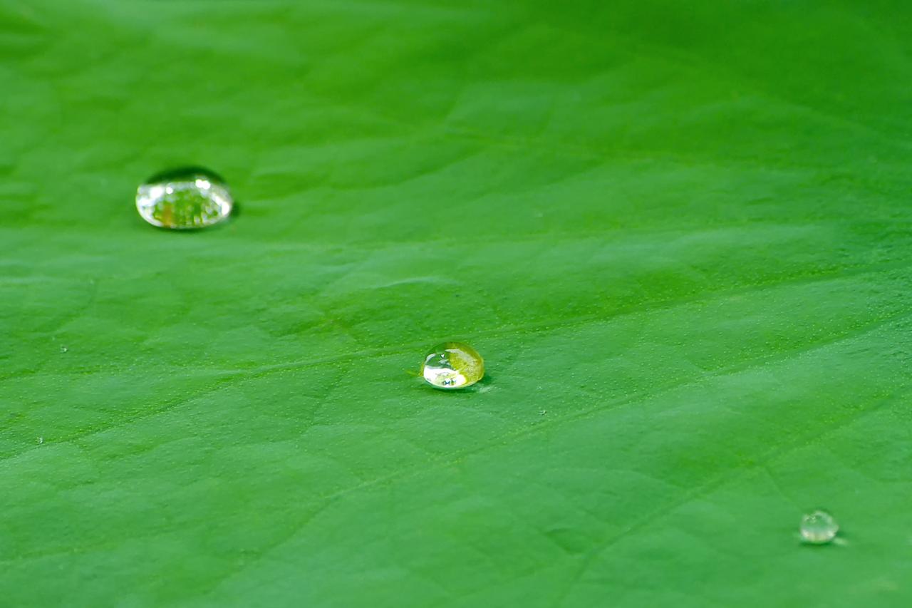 我们总是在“已经得到的”和“还想要的”之间徘徊。

既想要春花的浪漫，又想要秋月