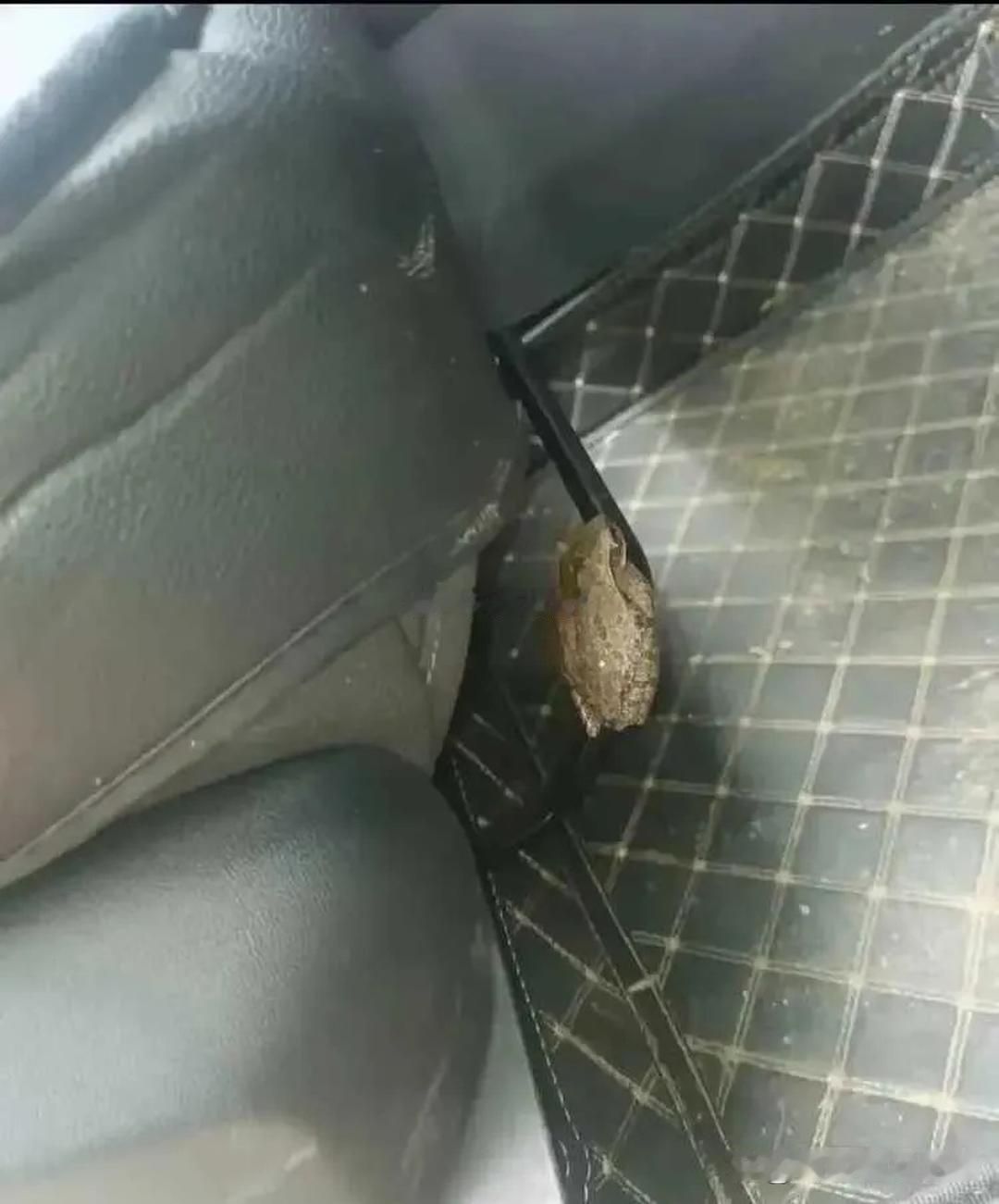车上发现的，同志们怎么办 ​​​