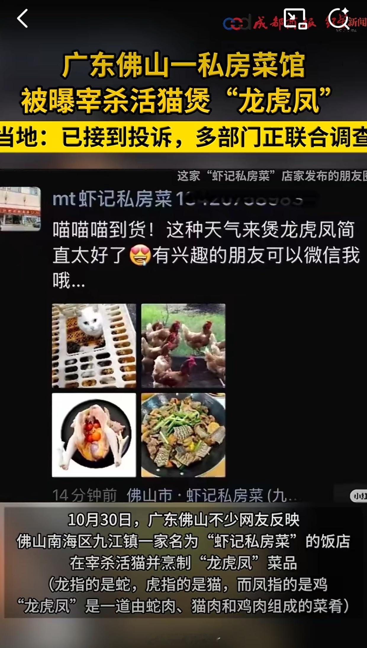 佛山一私房菜馆被曝宰杀活猫不是，你们怎么什么都吃啊？有没有点良心[裂开]这也太…