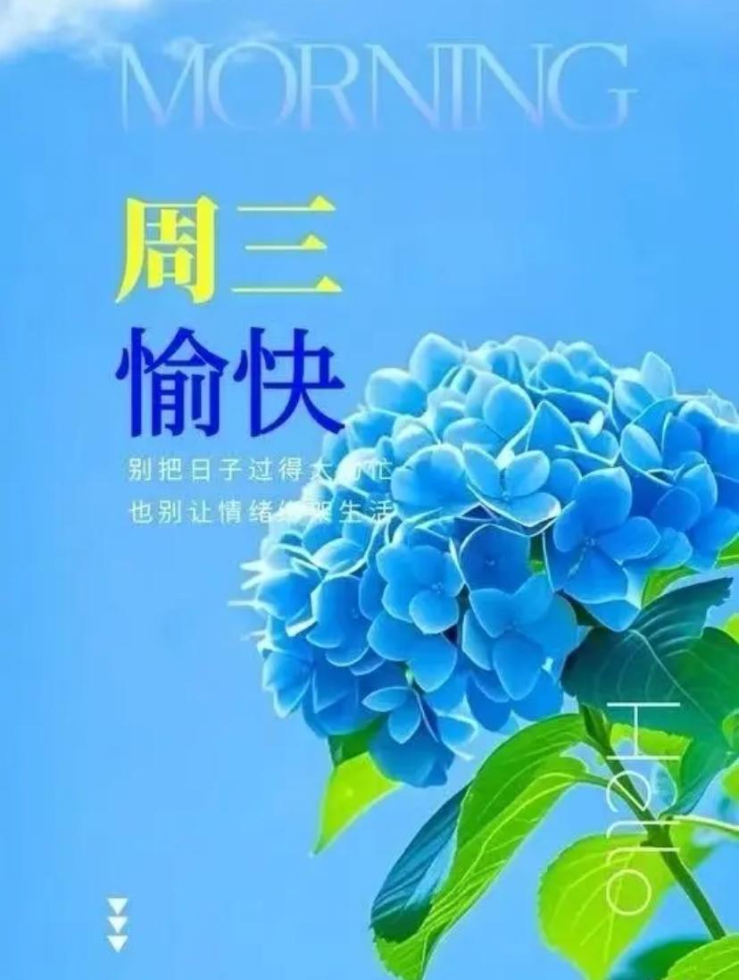 🌺☘️5./13.浅夏芳菲静.平安四时安🌺

☘️🌅夏日之晨，寄一份清爽，