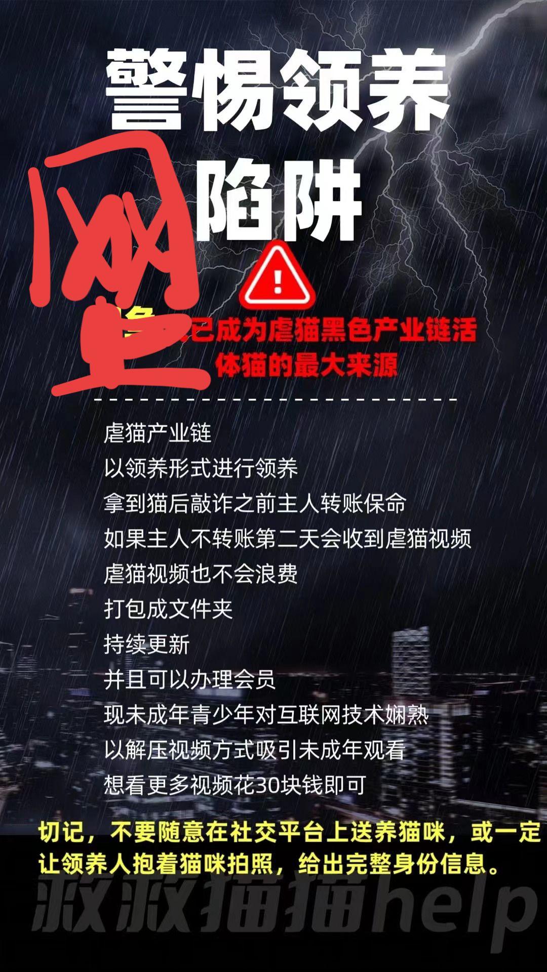 大家在网上要慎重送养，你可知道你在网上给毛孩子找家的时候，有多少虐猫的趴在网上等