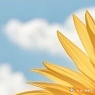 奥运会 | 早安 在生活的路上，善待自己！努力活成自己喜欢的样子，不用在意别人的